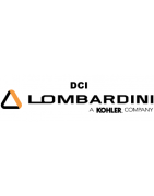 Pièces moteur Lombardini DCI