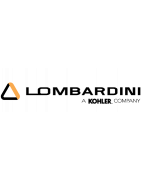 Pièces moteur Lombardini Focs / Progress